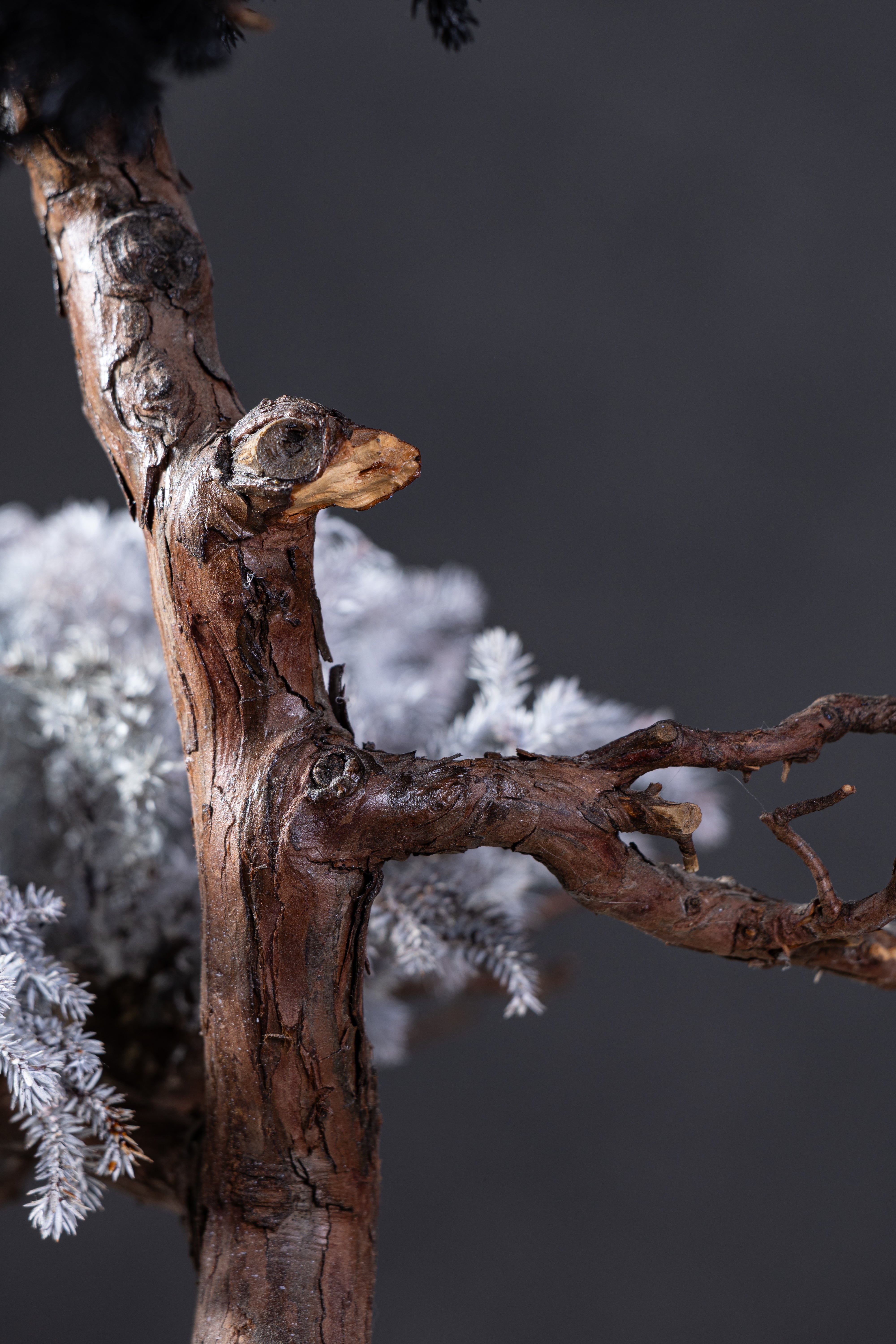 【MEMÉA BONSAI INTERIOR ART 】 M26005