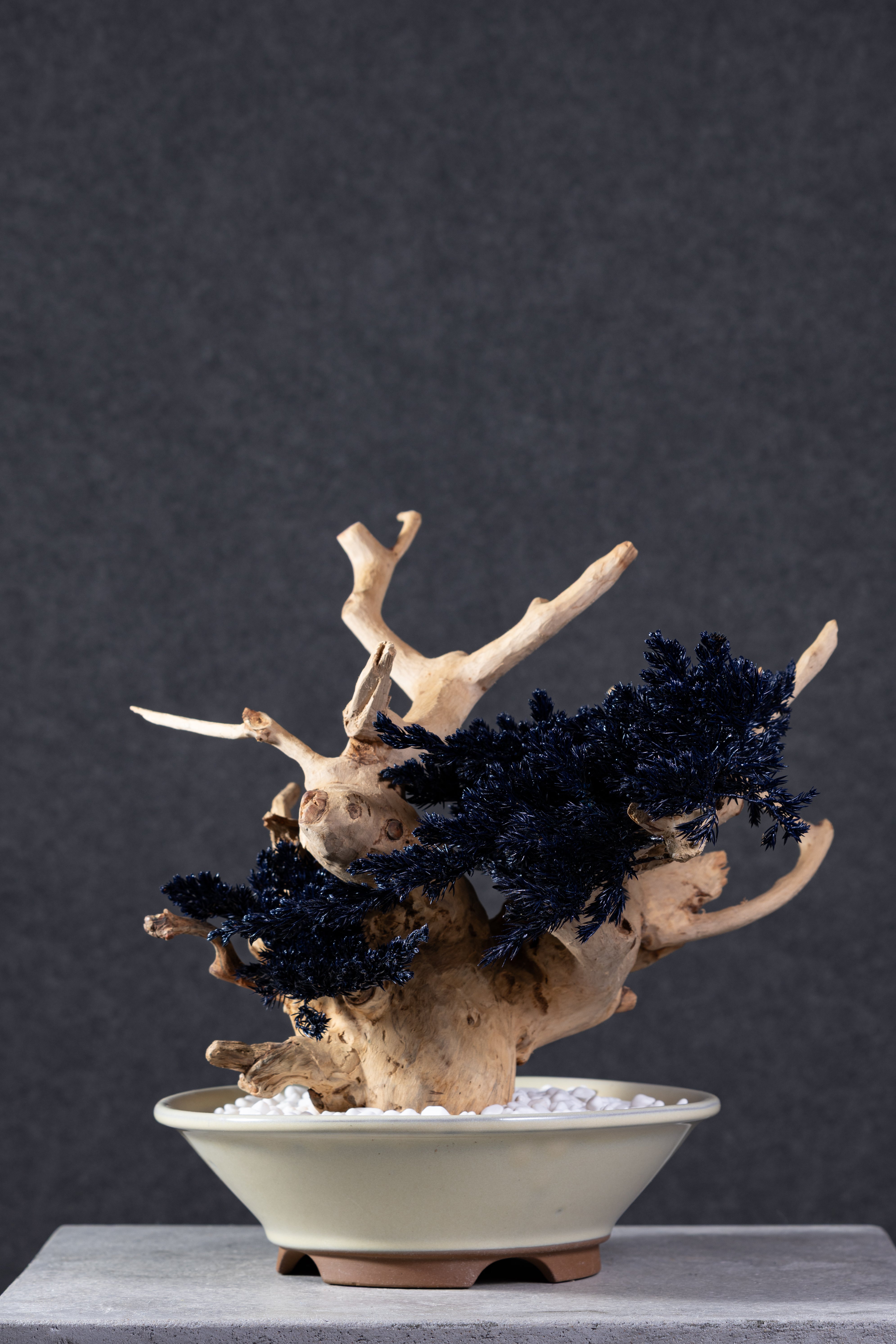 【MEMÉA BONSAI INTERIOR ART 】 M26006