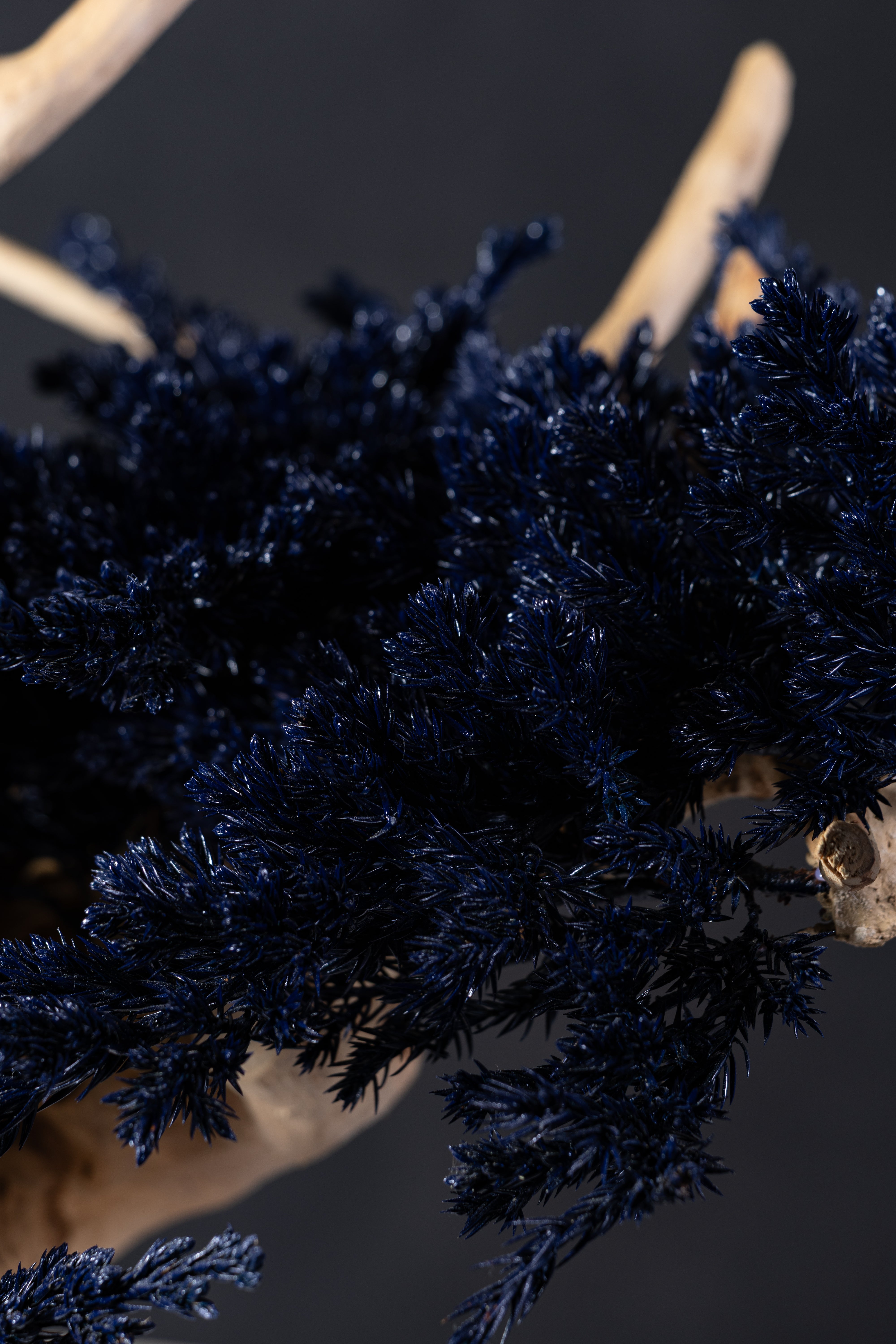 【MEMÉA BONSAI INTERIOR ART 】 M26006