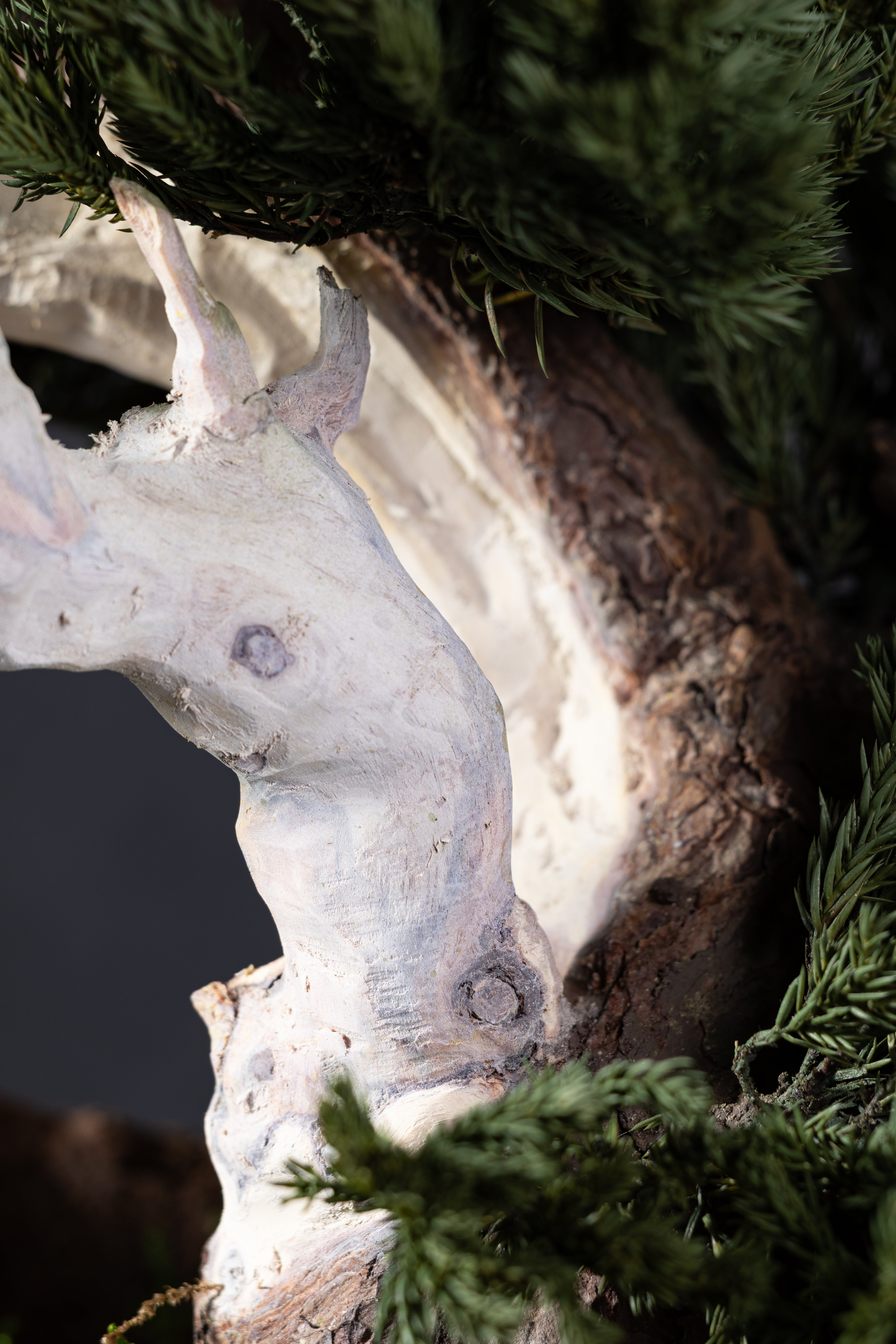 【MEMÉA BONSAI INTERIOR ART 】 L26003