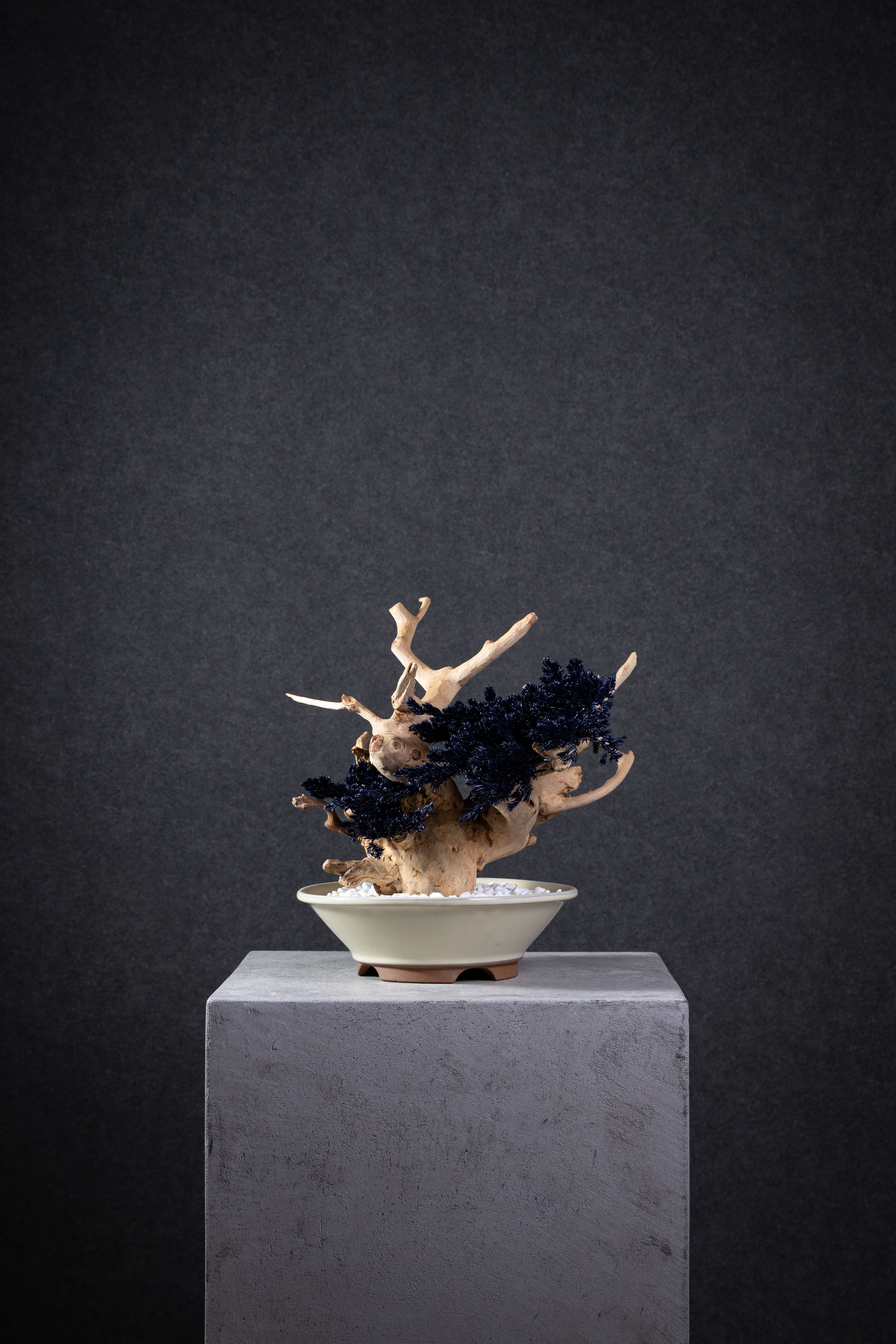 【MEMÉA BONSAI INTERIOR ART 】 M26006