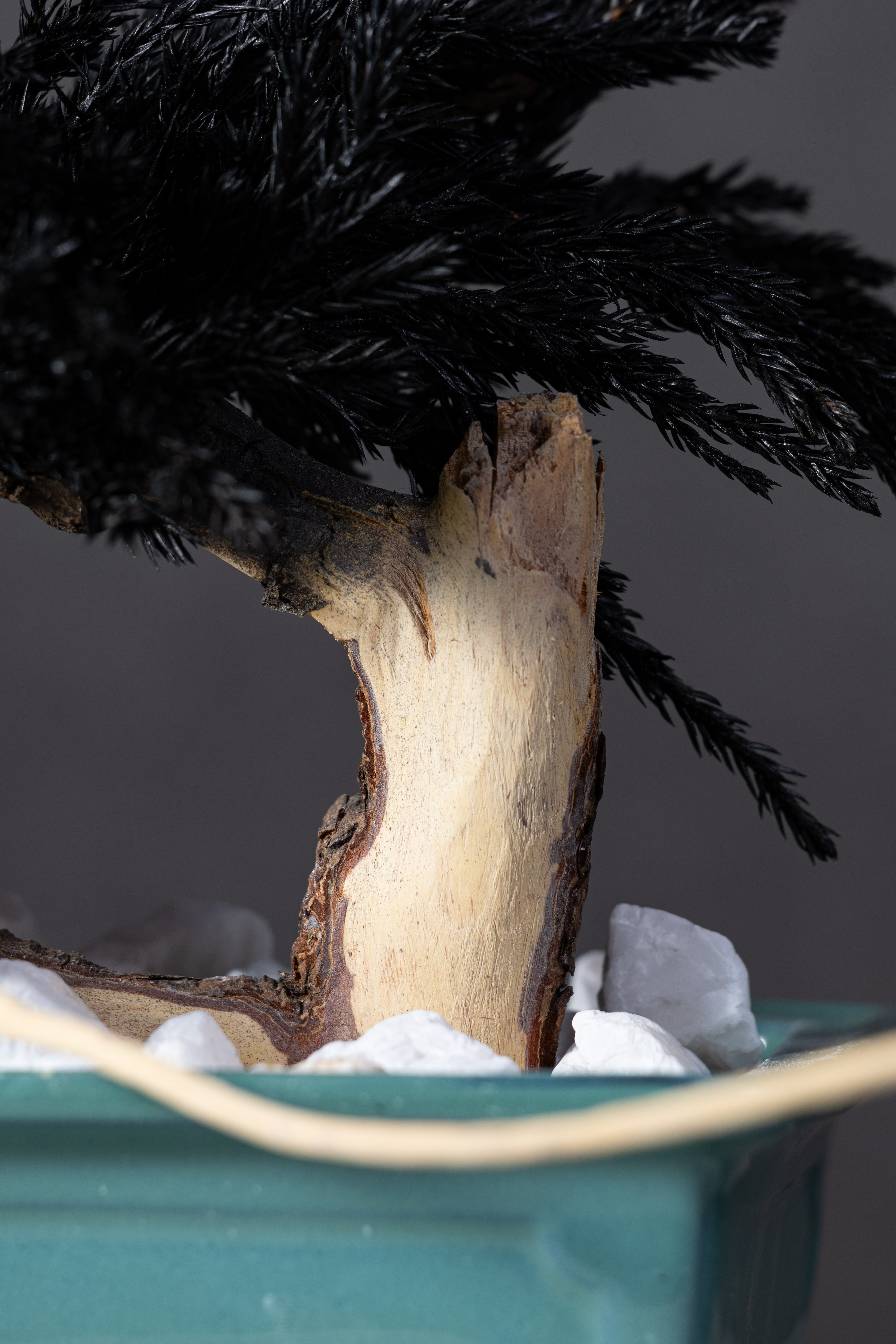 【MEMÉA BONSAI INTERIOR ART 】 M26007