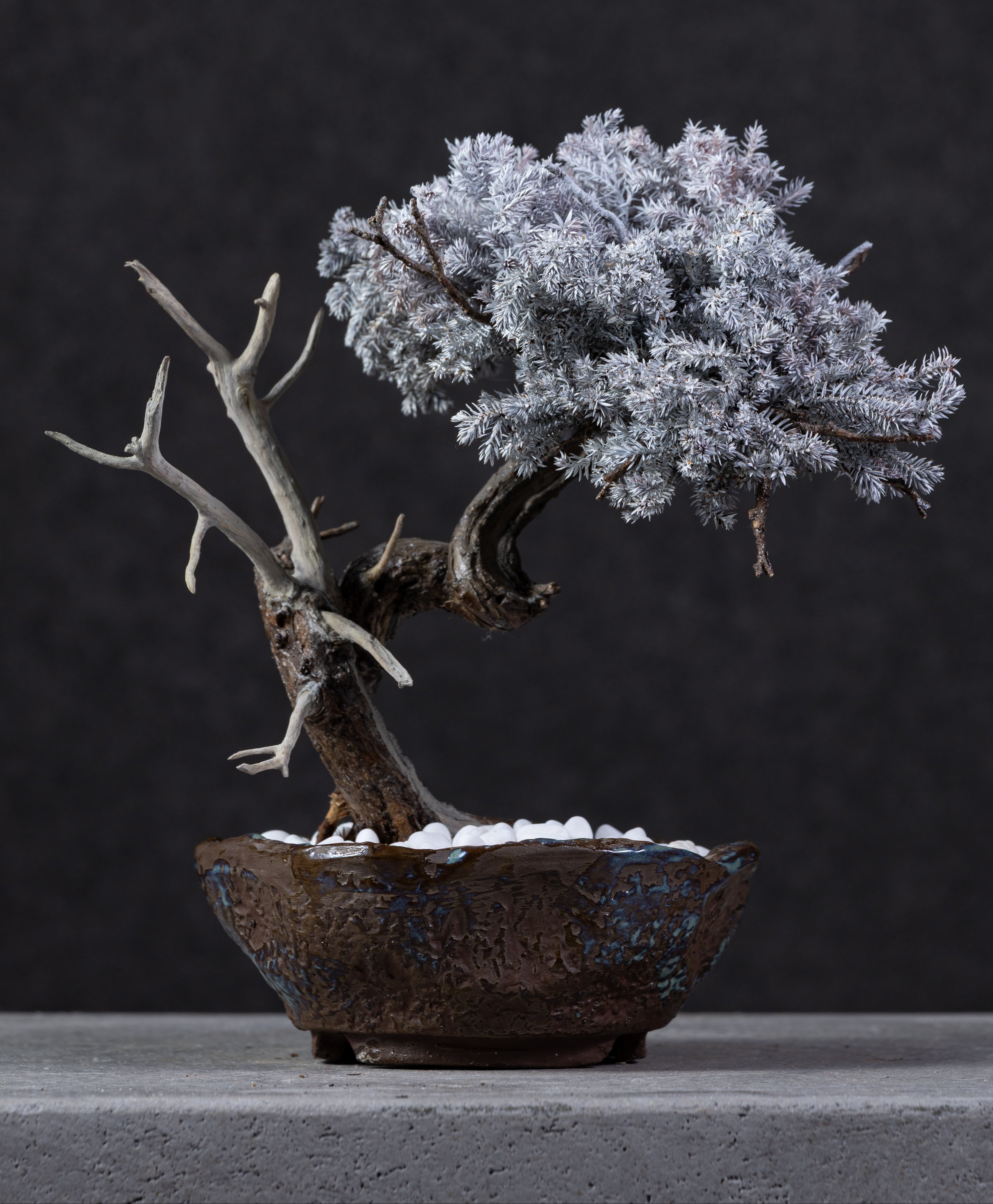 【MEMÉA BONSAI INTERIOR ART 】 M26004